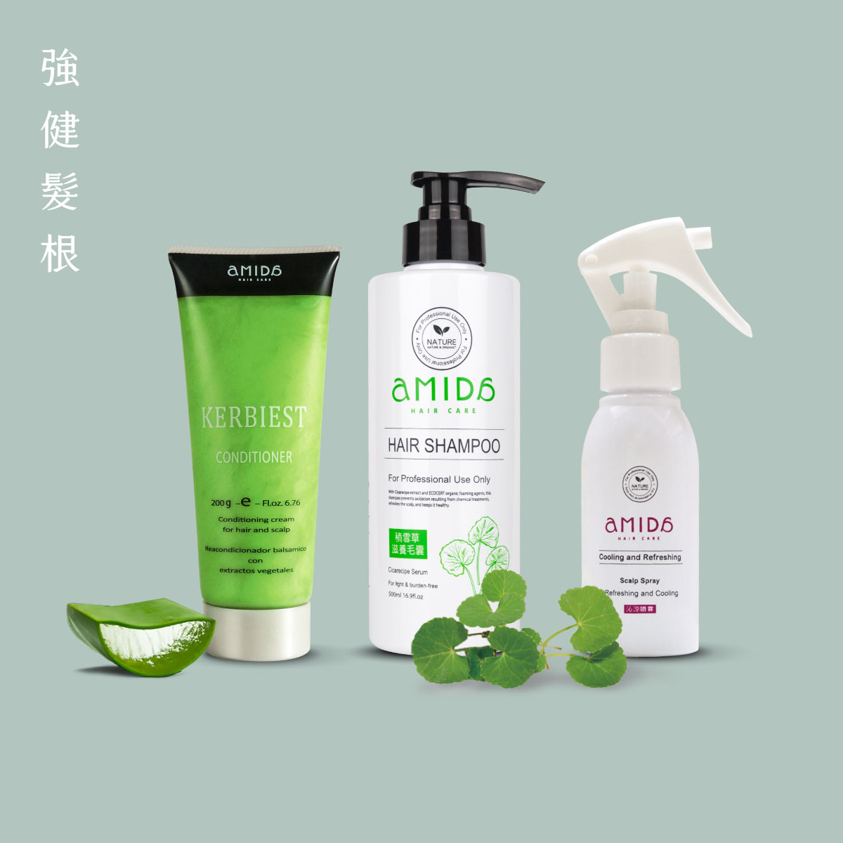 強健髮根